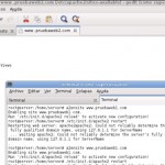 Crear host virtuales en apache 2, Debian Squeeze